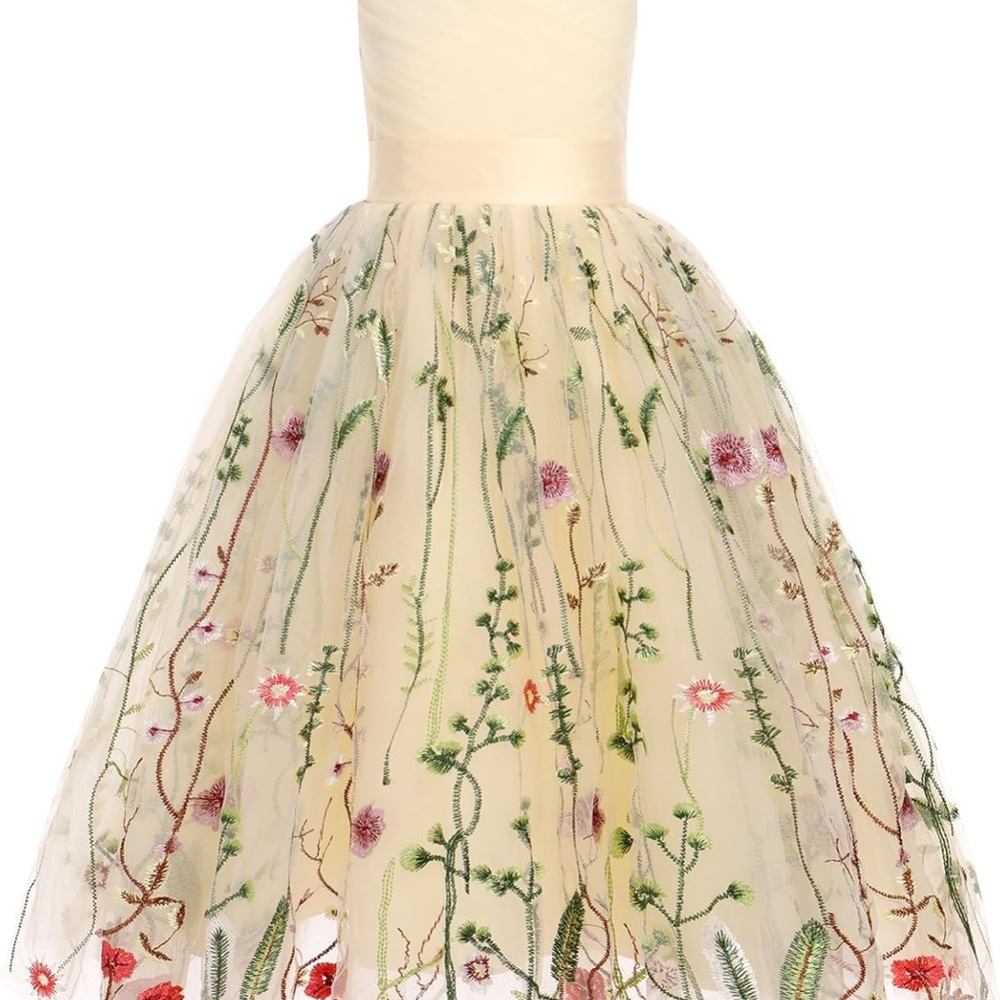 Floral Embroidered Tulle Dress
